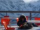 switz. Jungfrau