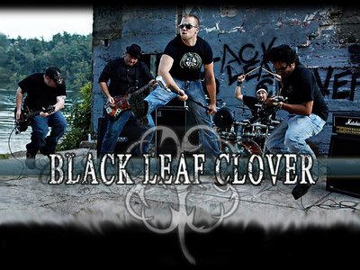 Black Leaf Clover photo