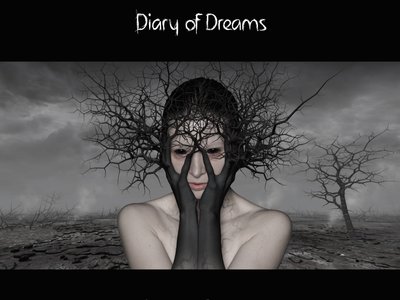 Diary of Dreams photo