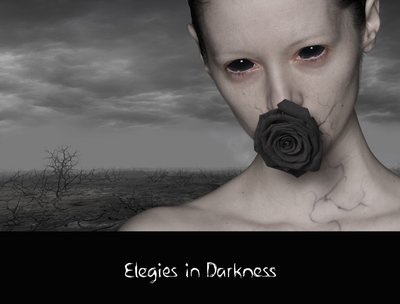 Diary of Dreams photo