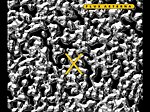 Flux Aeterna
