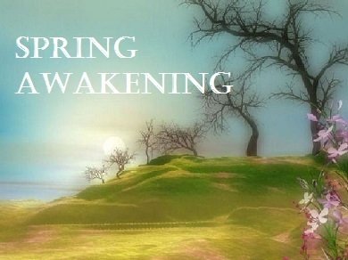 Spring Awakening
