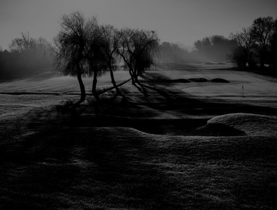 greyfade photo