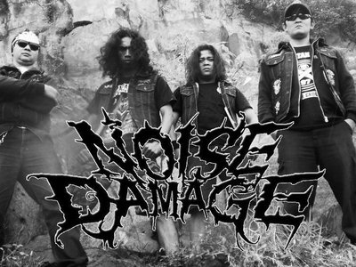 NOISE DAMAGE