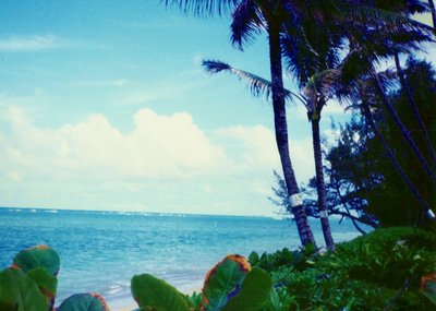 North Shore!