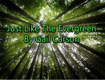 Gail Carson photo