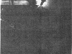 jOff wilsOn