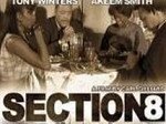 Section 8 - Soundesign & Foley)