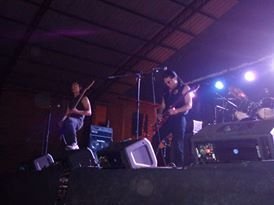 Arius photo