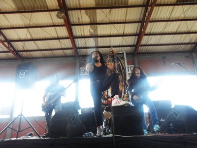 Arius photo