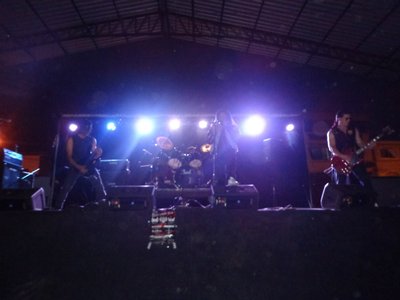 Arius photo