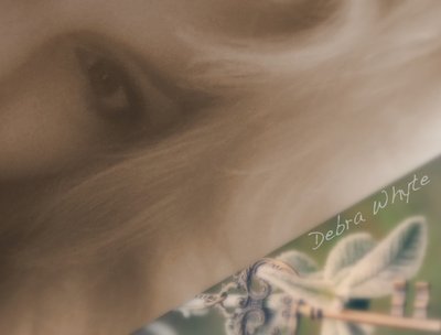 New Promo Banner