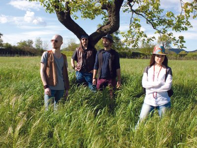 Old Rock City Orchestra photo