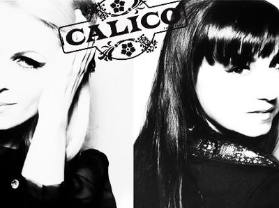 CALICO the band photo