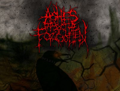 Ashes of the Forgotten photo