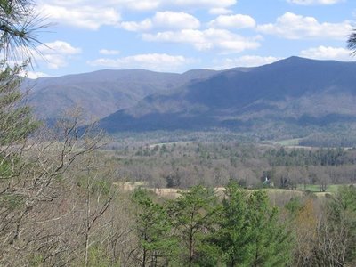 Edgar Allen Lee photo