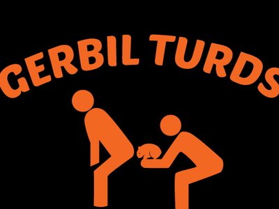 Gerbil Turds photo