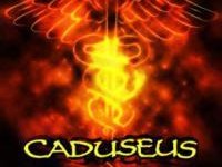 Caduseus photo