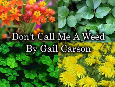 Gail Carson photo