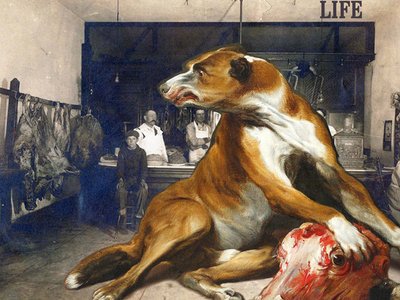 True - Still Life
