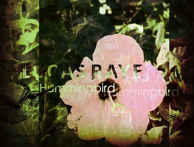 Hummingbird