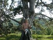 CELTIC HILLS photo