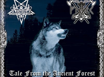Tale from the ancient forest
