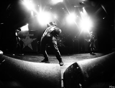 Stofma Live