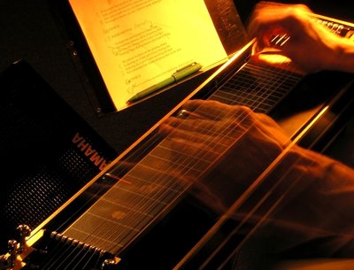 Pedal steel