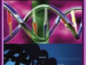 DNA Ascension