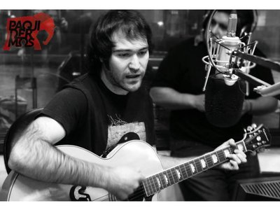 Paquidermos photo