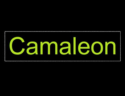 Cámaleon photo