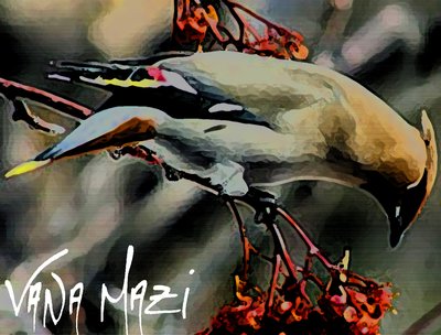 VaNa MaZi photo