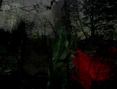 Voices of the Dead photo