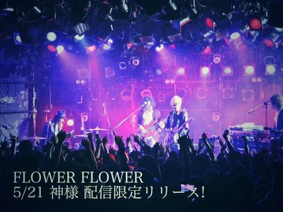 FLOWER FLOWER photo