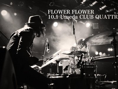 FLOWER FLOWER photo