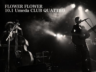 FLOWER FLOWER photo