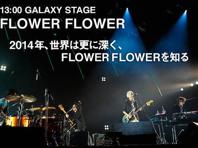 FLOWER FLOWER photo