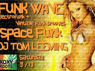 Space Funk photo