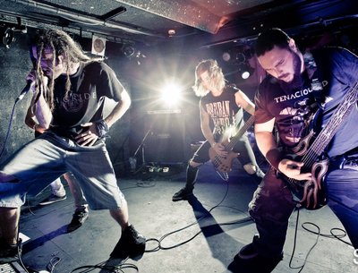 Ignite The Chamber photo