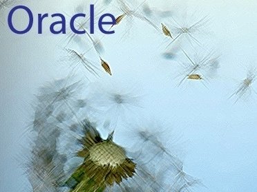 Oracle (From The House of Dreams by Joe Figg 2014}