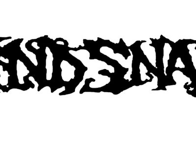 MindSnare photo