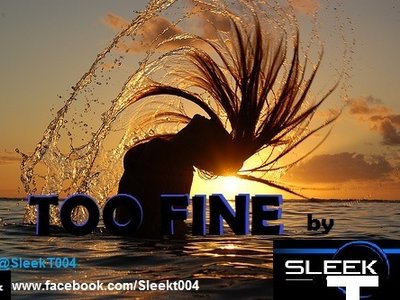 Sleek-T photo