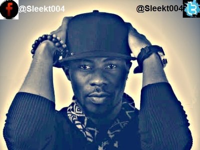 Sleek-T photo