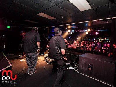 The Chimpz photo