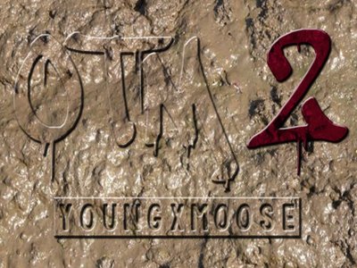 Young Moose photo