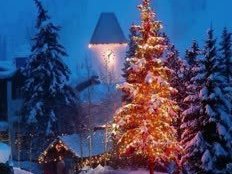 IF YOU DON'T LOVE CHRISTMAS, YOU DON'T LOVE LIFE!!' END OF STORY!!.