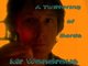 Album - Mr Wondrous