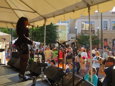 Silver Spring Blues Festival 14 June 2014