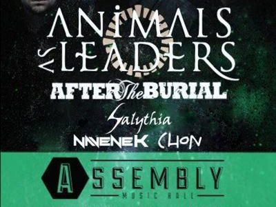 Getting to play alongside Animals as Leaders